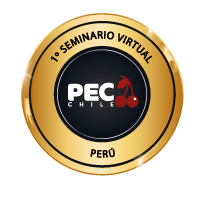 logo-peru2021